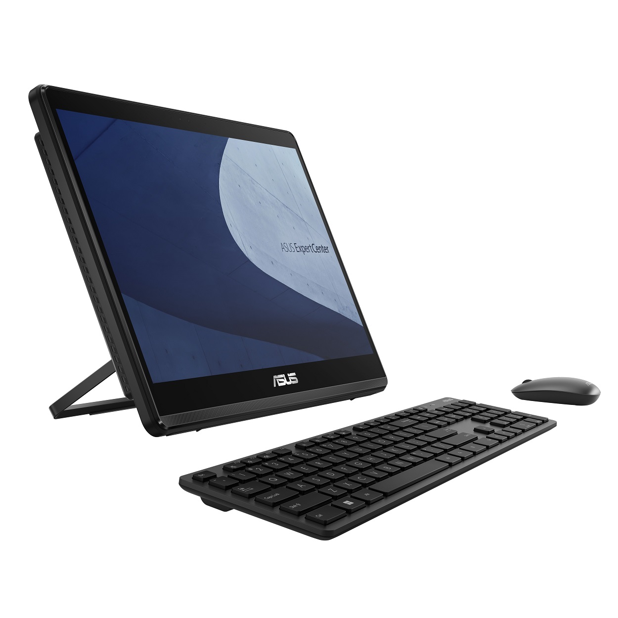ASUS ExpertCenter E1 E1600WKA-N8256B0D Celeron N4500 8GB 256GB SSD O/B Dokunmatik 15.6" Siyah DOS All in One PC